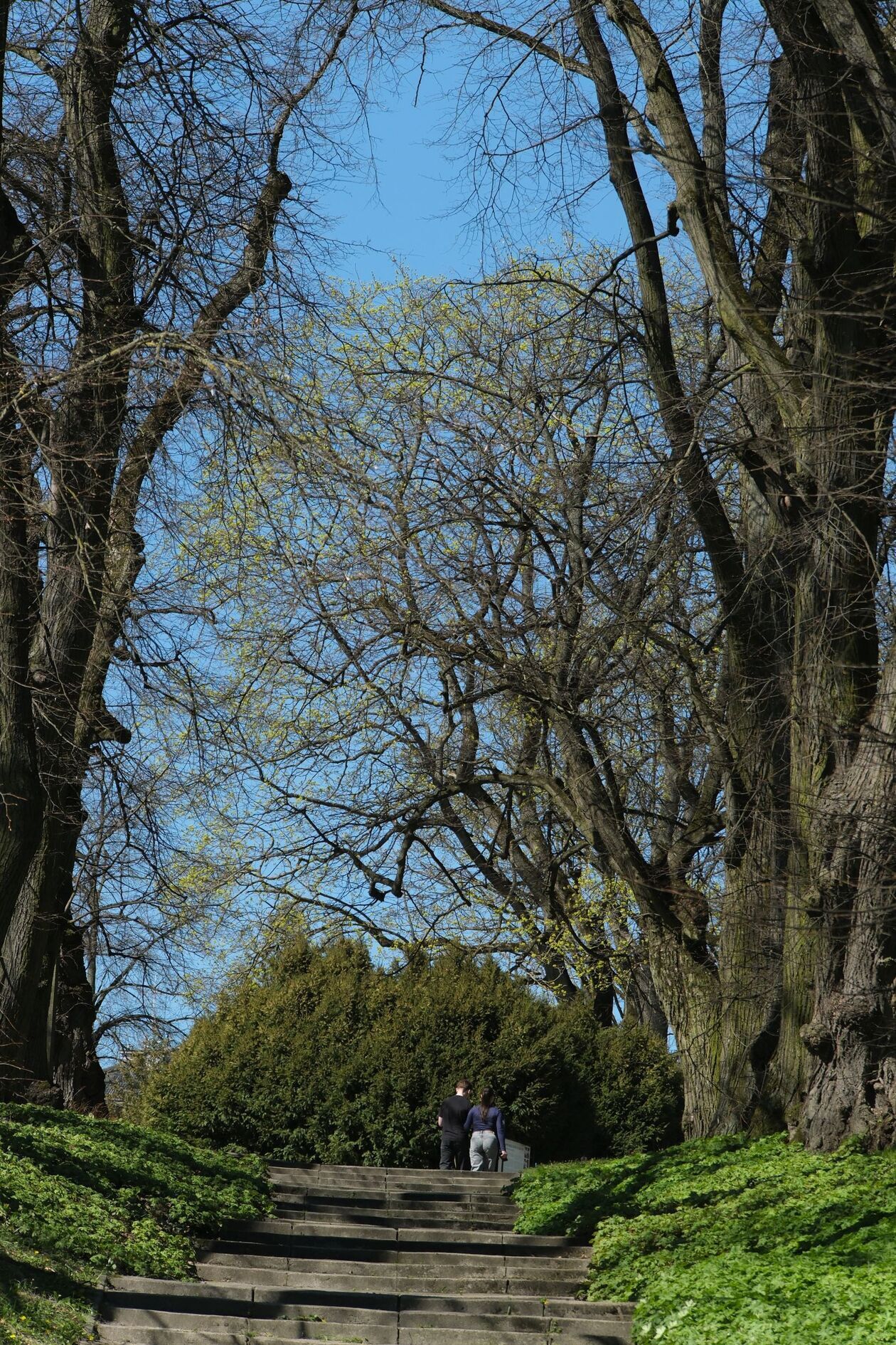  Ogród Botaniczny UMCS otwarty dla zwiedzajacych (zdjęcie 48) - Autor: DW