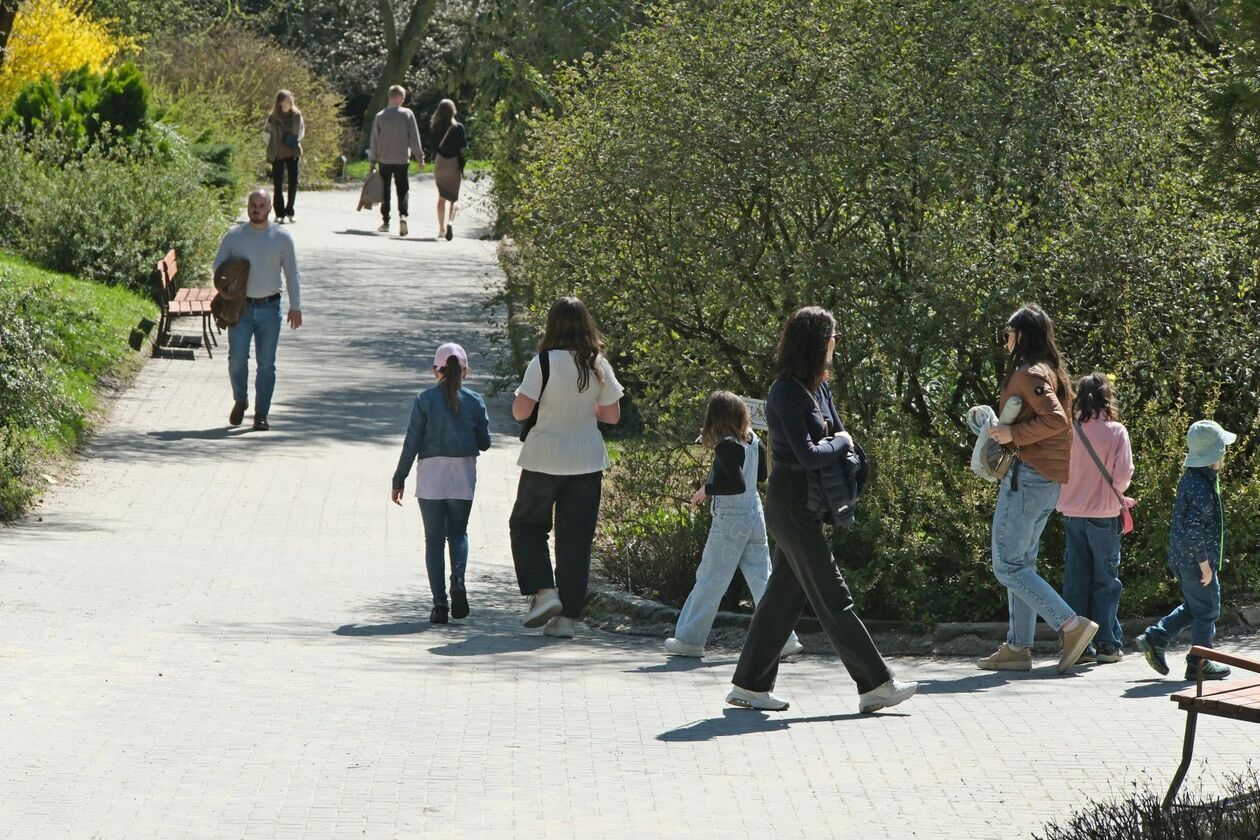  Ogród Botaniczny UMCS otwarty dla zwiedzajacych (zdjęcie 2) - Autor: DW