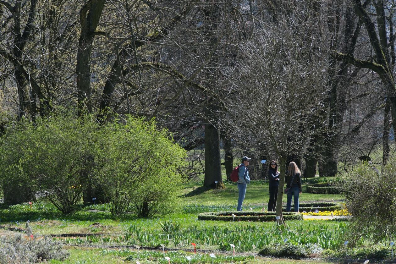  Ogród Botaniczny UMCS otwarty dla zwiedzajacych (zdjęcie 52) - Autor: DW