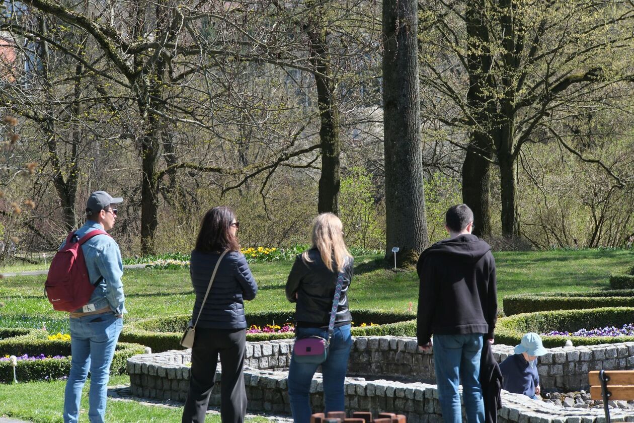  Ogród Botaniczny UMCS otwarty dla zwiedzajacych (zdjęcie 51) - Autor: DW
