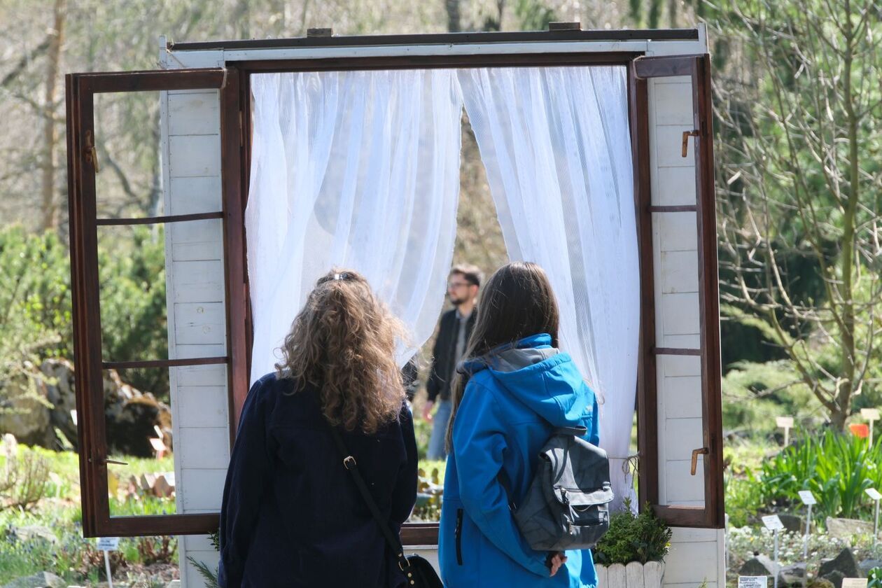  Ogród Botaniczny UMCS otwarty dla zwiedzajacych (zdjęcie 13) - Autor: DW