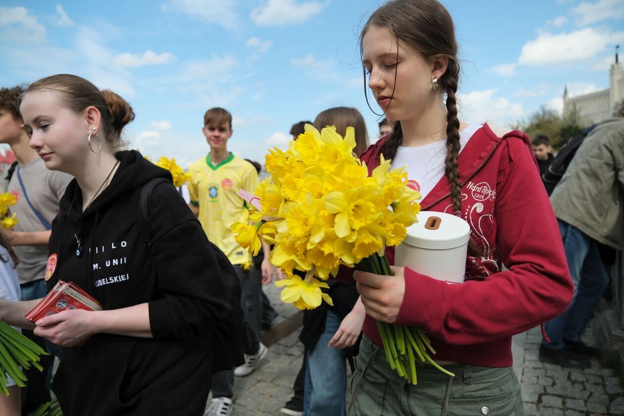 Marsz z żonkilami  Hospicjum Dobrego Samarytanina   (zdjęcie 6) - Autor: DW