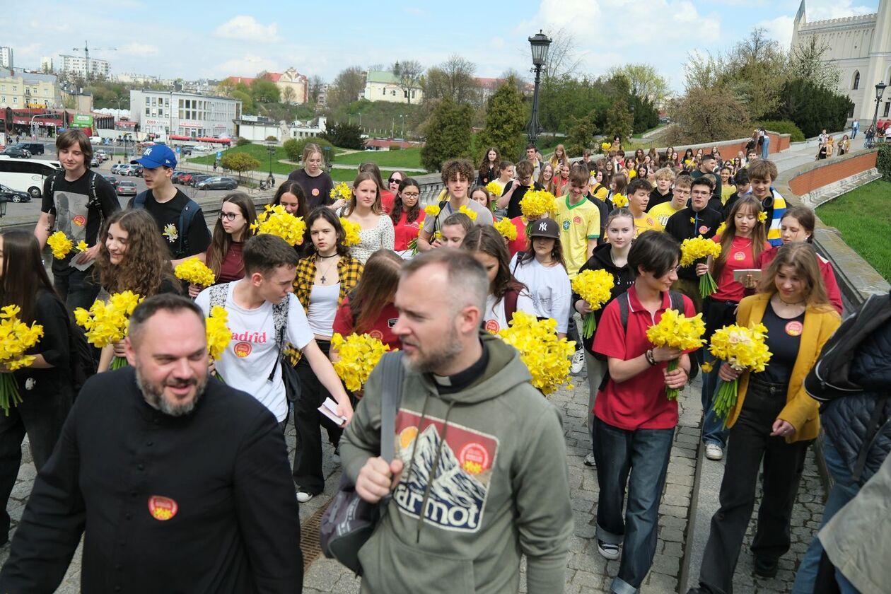 Marsz z żonkilami  Hospicjum Dobrego Samarytanina  