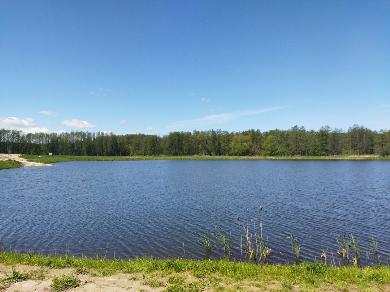  Zalew w Jastkowie  (zdjęcie 6) - Autor: KaNa  
