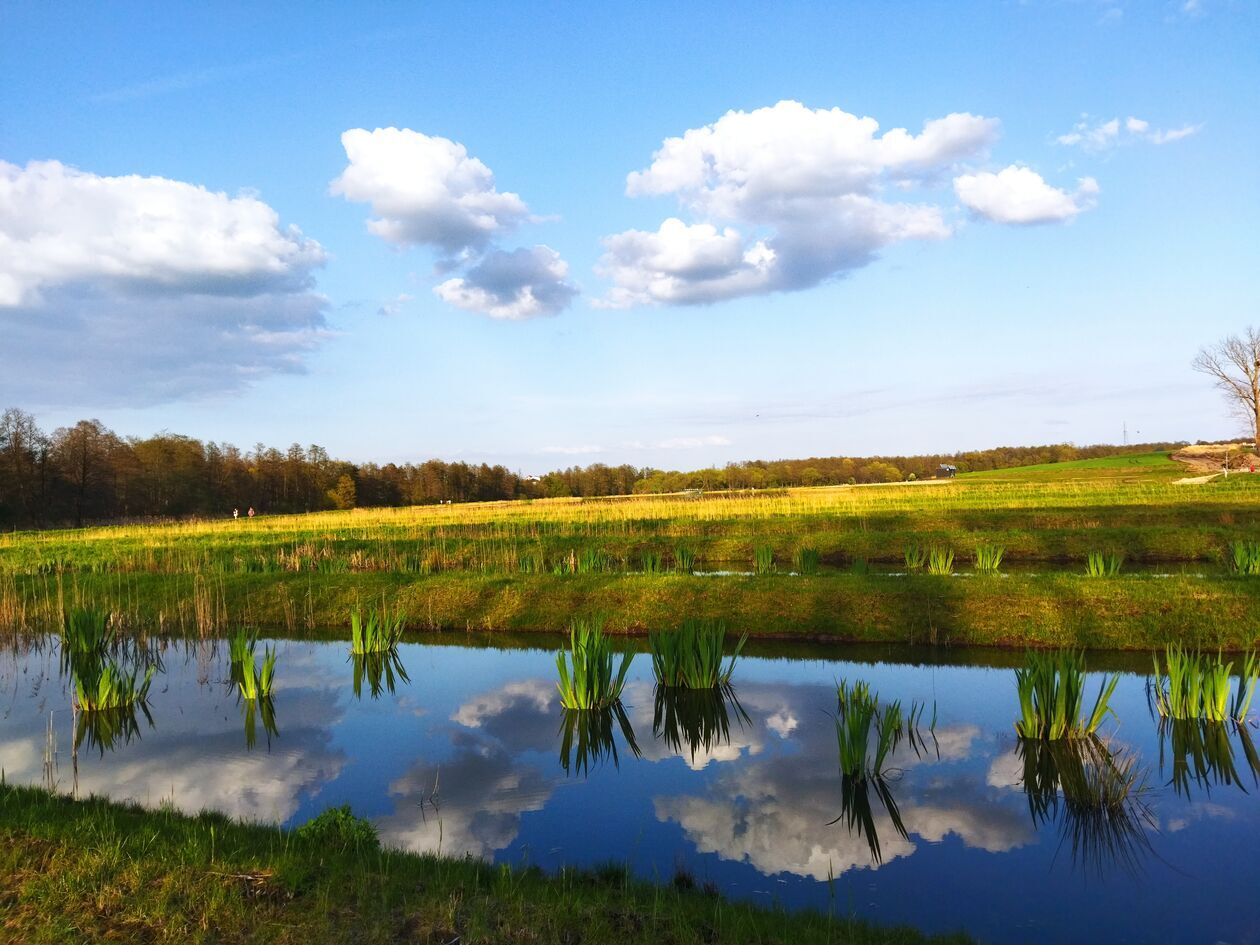  Zalew w Jastkowie  (zdjęcie 1) - Autor: KaNa  