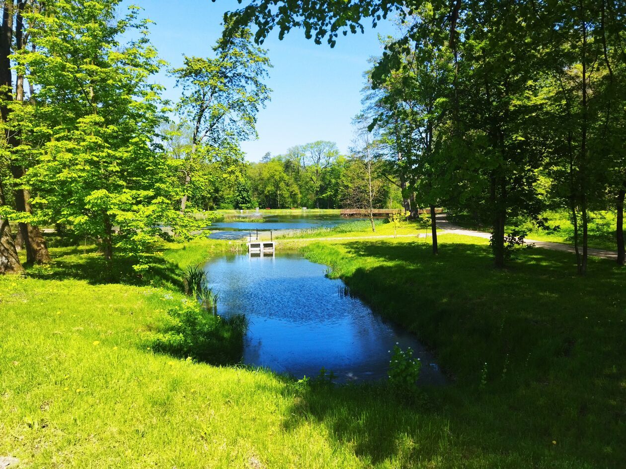  Zespół pałacowo-parkowy w Jastkowie (zdjęcie 23) - Autor: KaNa  