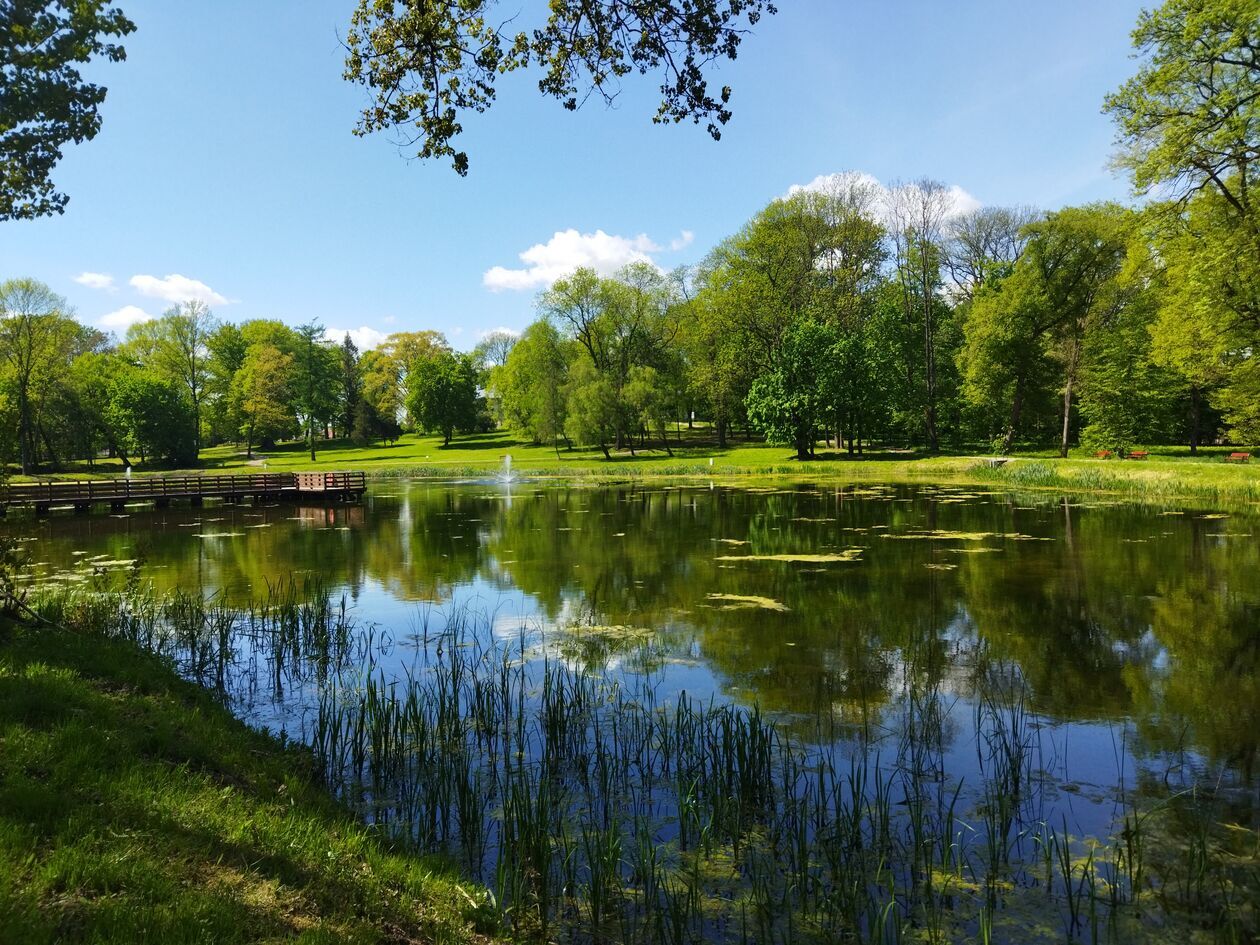  Zespół pałacowo-parkowy w Jastkowie  - Autor: KaNa  