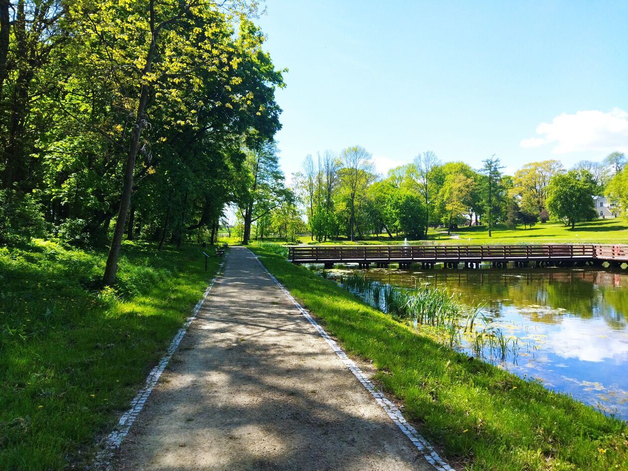 Zespół pałacowo-parkowy w Jastkowie (zdjęcie 32) - Autor: KaNa  
