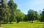 Zespół pałacowo-parkowy w Jastkowie (zdjęcie 4)