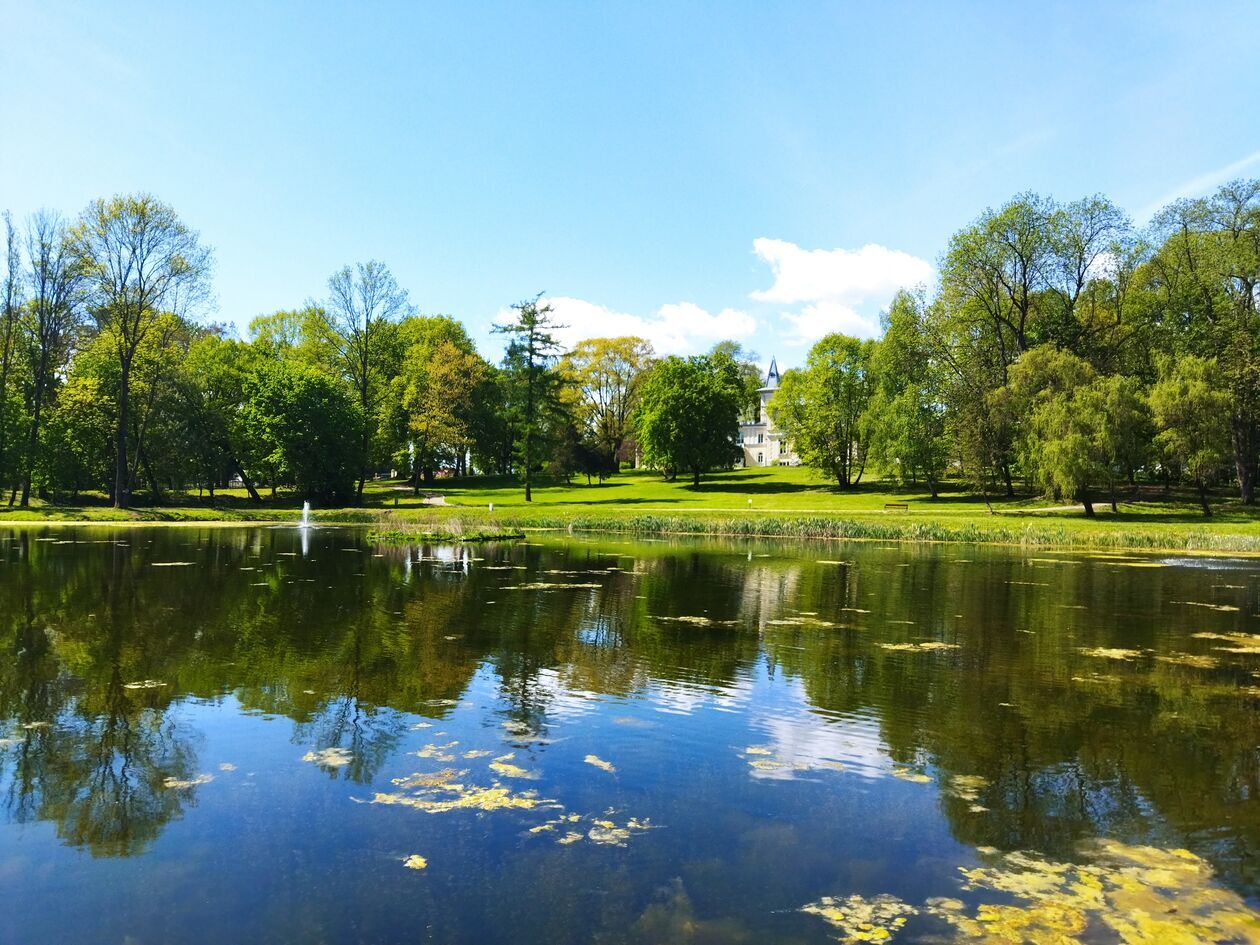 Zespół pałacowo-parkowy w Jastkowie (zdjęcie 30) - Autor: KaNa  