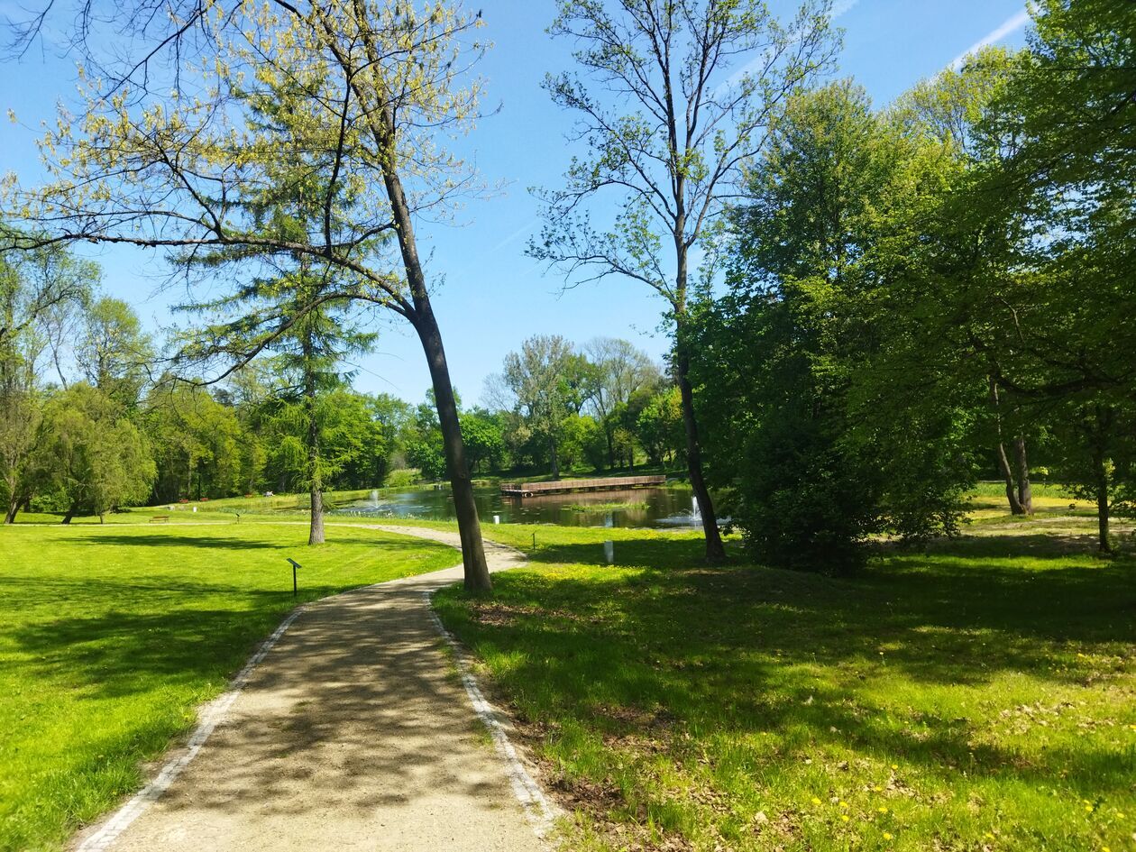  Zespół pałacowo-parkowy w Jastkowie (zdjęcie 22) - Autor: KaNa  