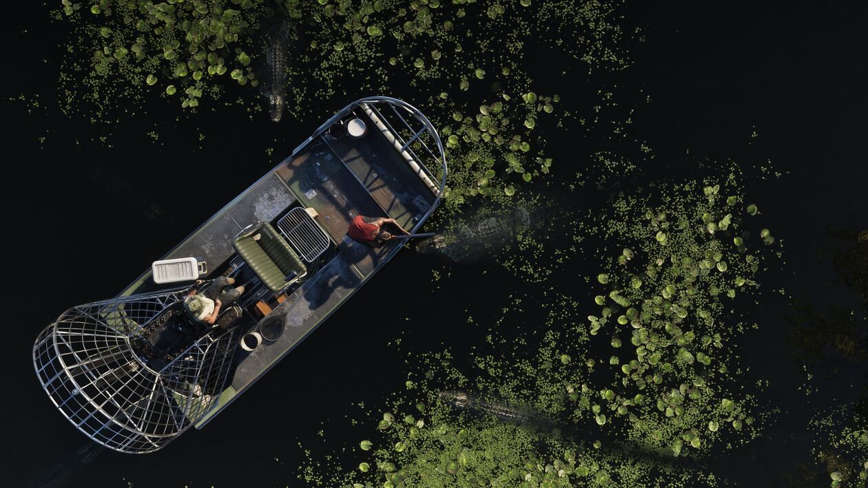 Grand Theft Auto VI (zdjęcie 7) - Autor:  Rockstar Games