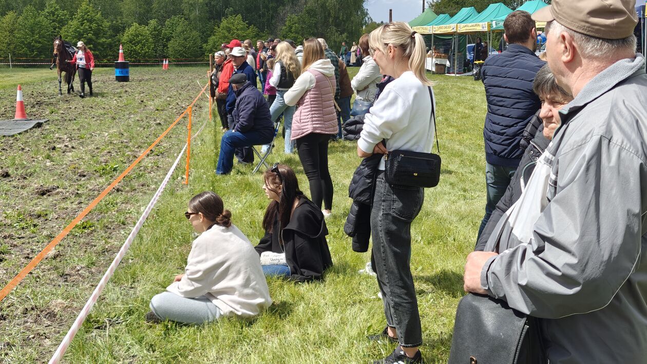 III Konkurs i Pokaz Wszechstronnej Użyteczności Koni w Kaniem-Stacja (zdjęcie 48) - Autor: Kamil Pomorski
