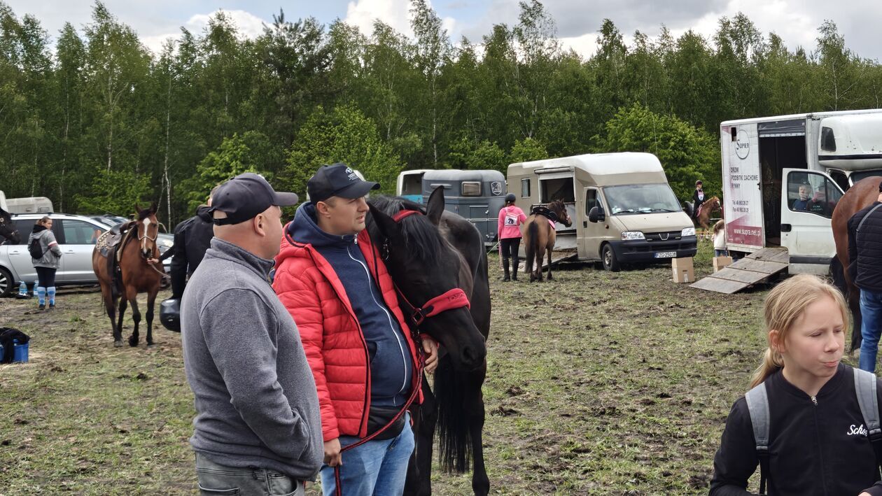  III Konkurs i Pokaz Wszechstronnej Użyteczności Koni w Kaniem-Stacja (zdjęcie 39) - Autor: Kamil Pomorski