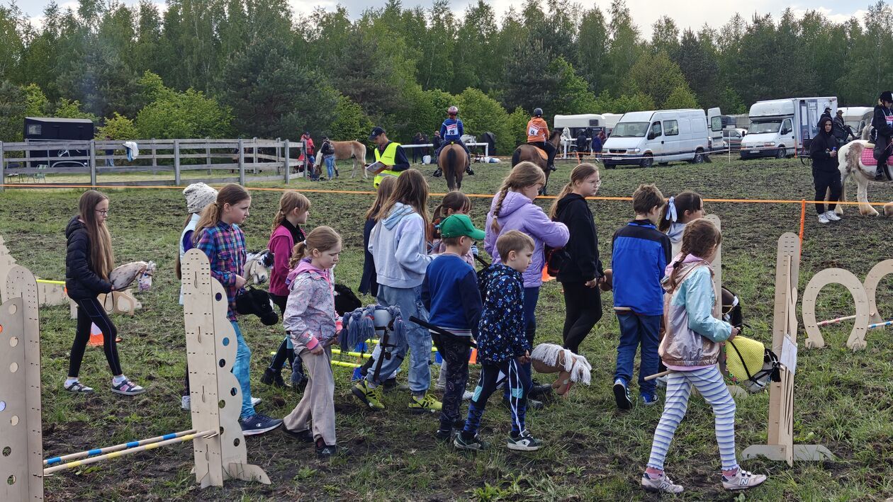  III Konkurs i Pokaz Wszechstronnej Użyteczności Koni w Kaniem-Stacja (zdjęcie 2) - Autor: Kamil Pomorski