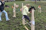 III Konkurs i Pokaz Wszechstronnej Użyteczności Koni w Kaniem-Stacja (zdjęcie 5)