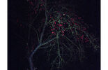 c7305d6c3828cb6deb728d35f4dd307c.jpg
