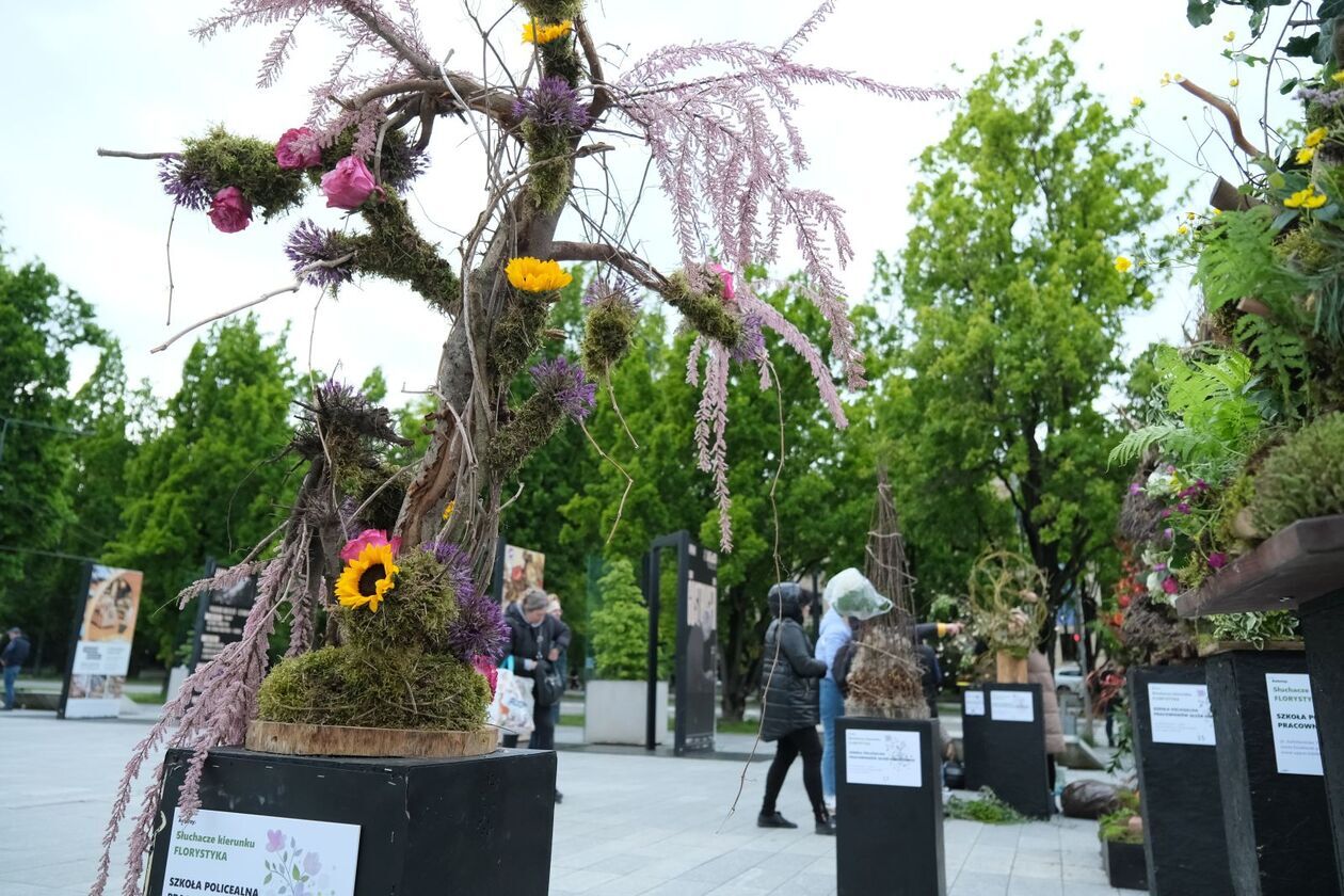  Rozpoczyna się weekend z florystyką na pl. Teatralnym (zdjęcie 11) - Autor: DW