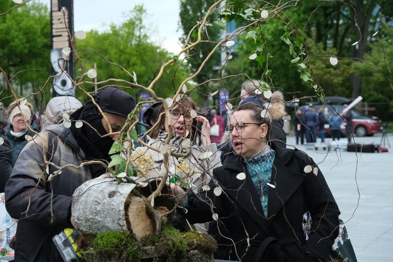 Rozpoczyna się weekend z florystyką na pl. Teatralnym - Autor: DW