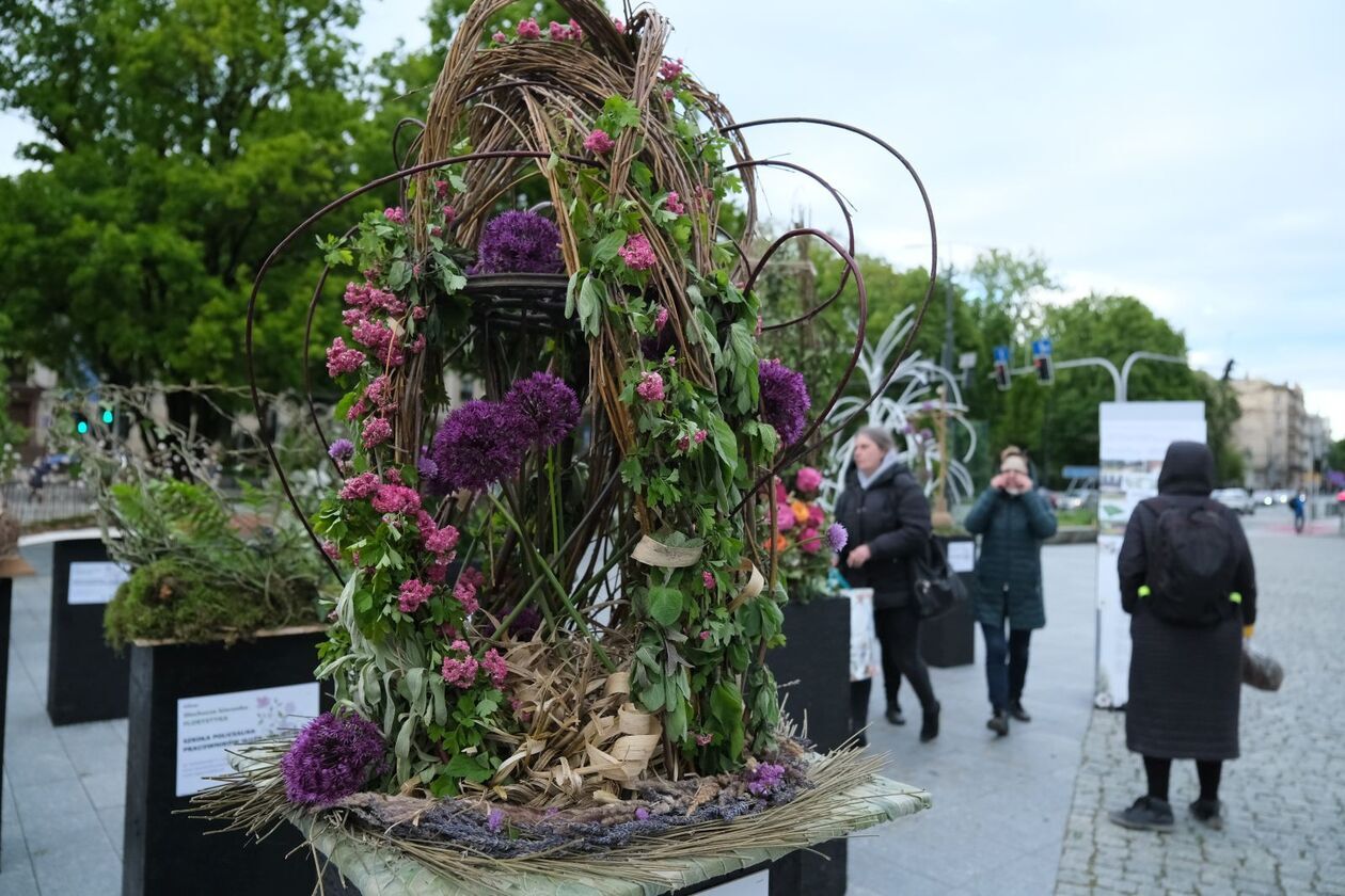  Rozpoczyna się weekend z florystyką na pl. Teatralnym (zdjęcie 19) - Autor: DW