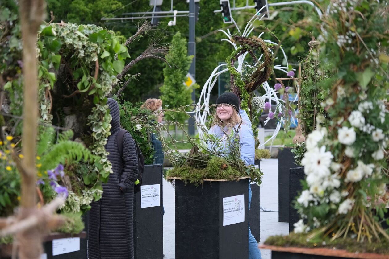  Rozpoczyna się weekend z florystyką na pl. Teatralnym (zdjęcie 14) - Autor: DW