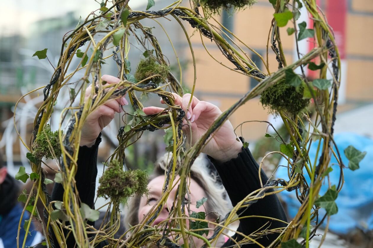  Rozpoczyna się weekend z florystyką na pl. Teatralnym (zdjęcie 8) - Autor: DW