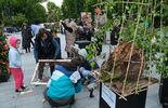 Rozpoczyna się weekend z florystyką na pl. Teatralnym (zdjęcie 4)
