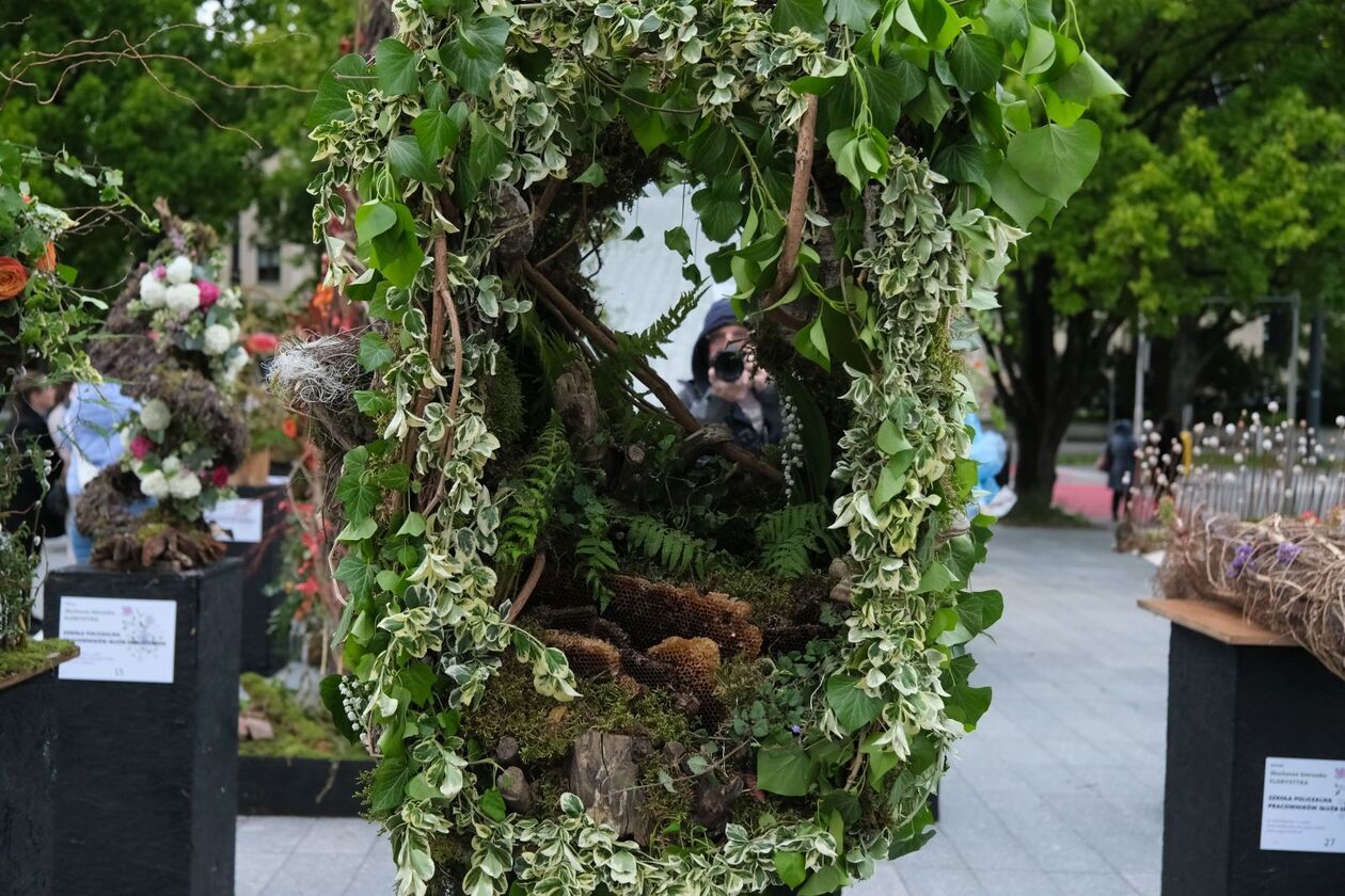  Rozpoczyna się weekend z florystyką na pl. Teatralnym (zdjęcie 17) - Autor: DW