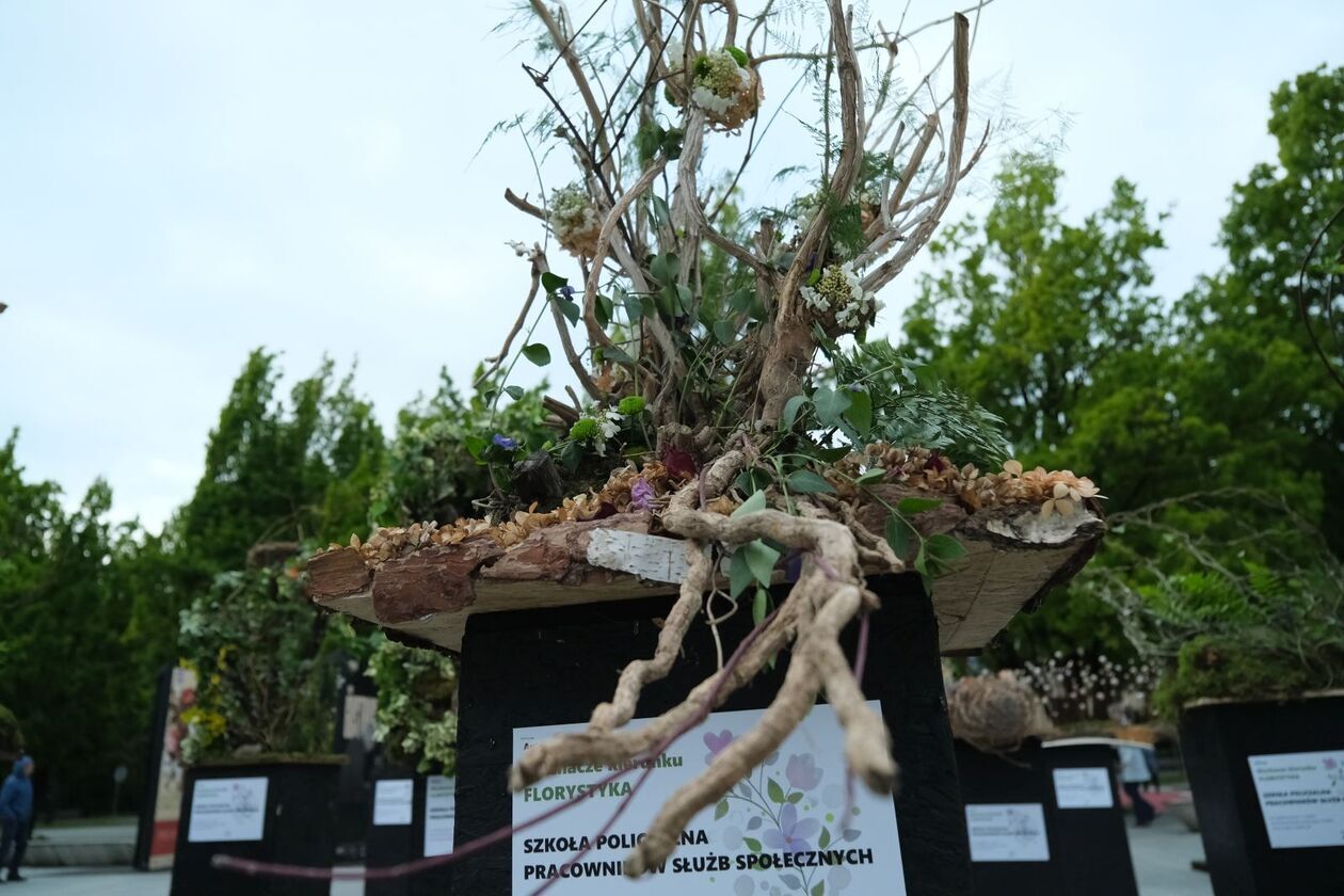  Rozpoczyna się weekend z florystyką na pl. Teatralnym (zdjęcie 18) - Autor: DW