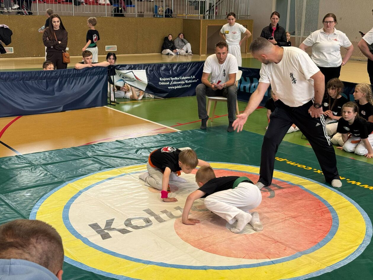  fe31ab7ccdca62acf21ab2030027cfab.jpg