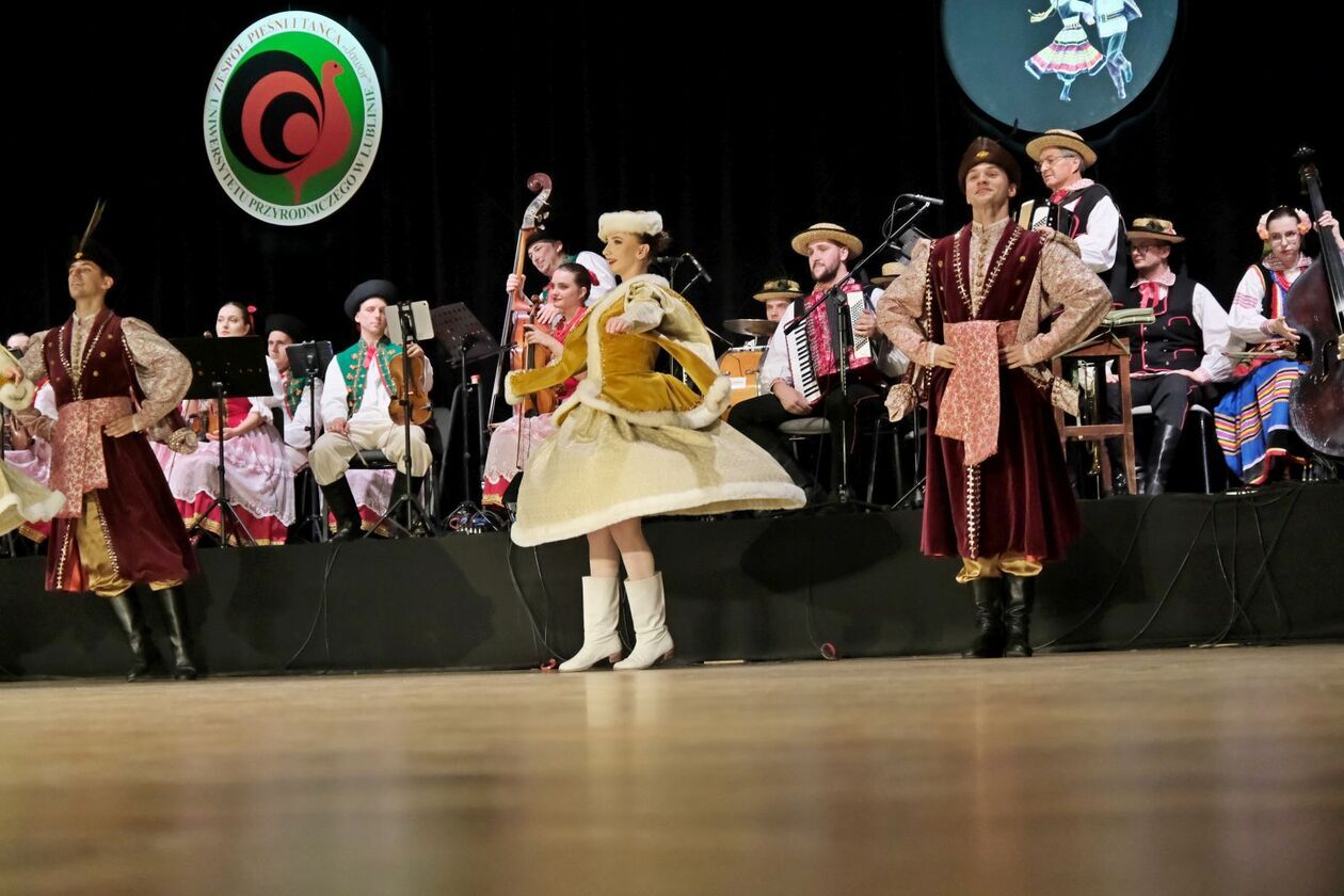  65 lecie zespołu ludowego Jawor z Uniwersytetu Przyrodniczego (zdjęcie 10) - Autor: DW