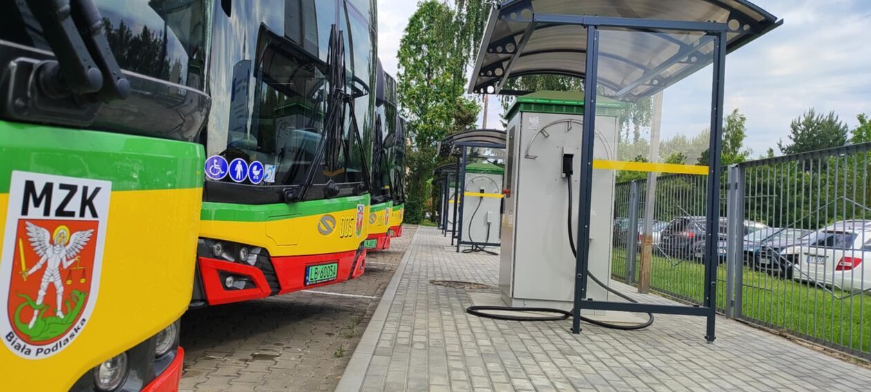 Autobusy elektryczne w Białej Podlaskiej  - Autor: Ewelina Burda
