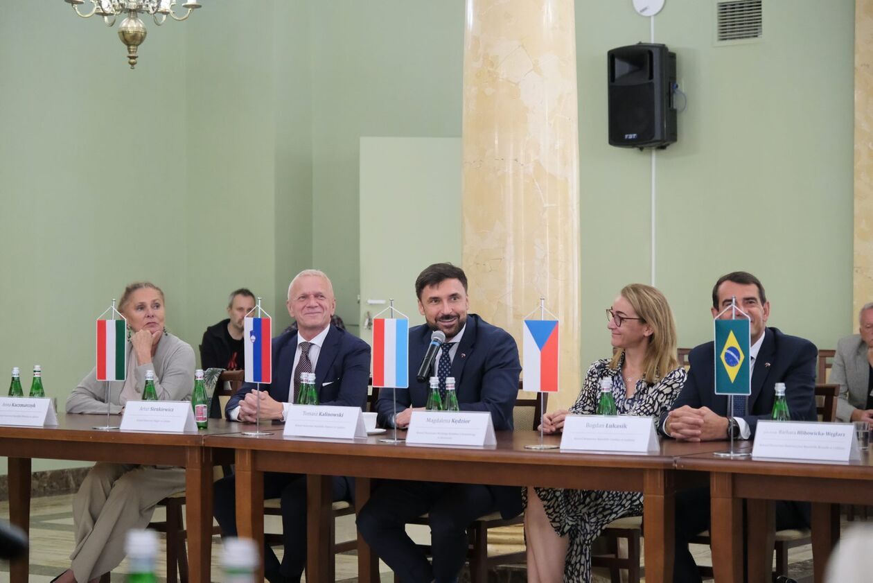  Odprawa dyplomatyczna Wojewody Lubelskiego 2025 z prof. Hanną Suchocką  (zdjęcie 28) - Autor: DW