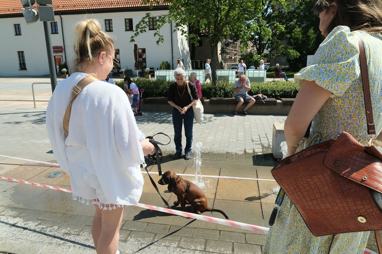  Festyn Pasje Ludzi Pozytywnie Zakręconych (zdjęcie 44) - Autor: DW