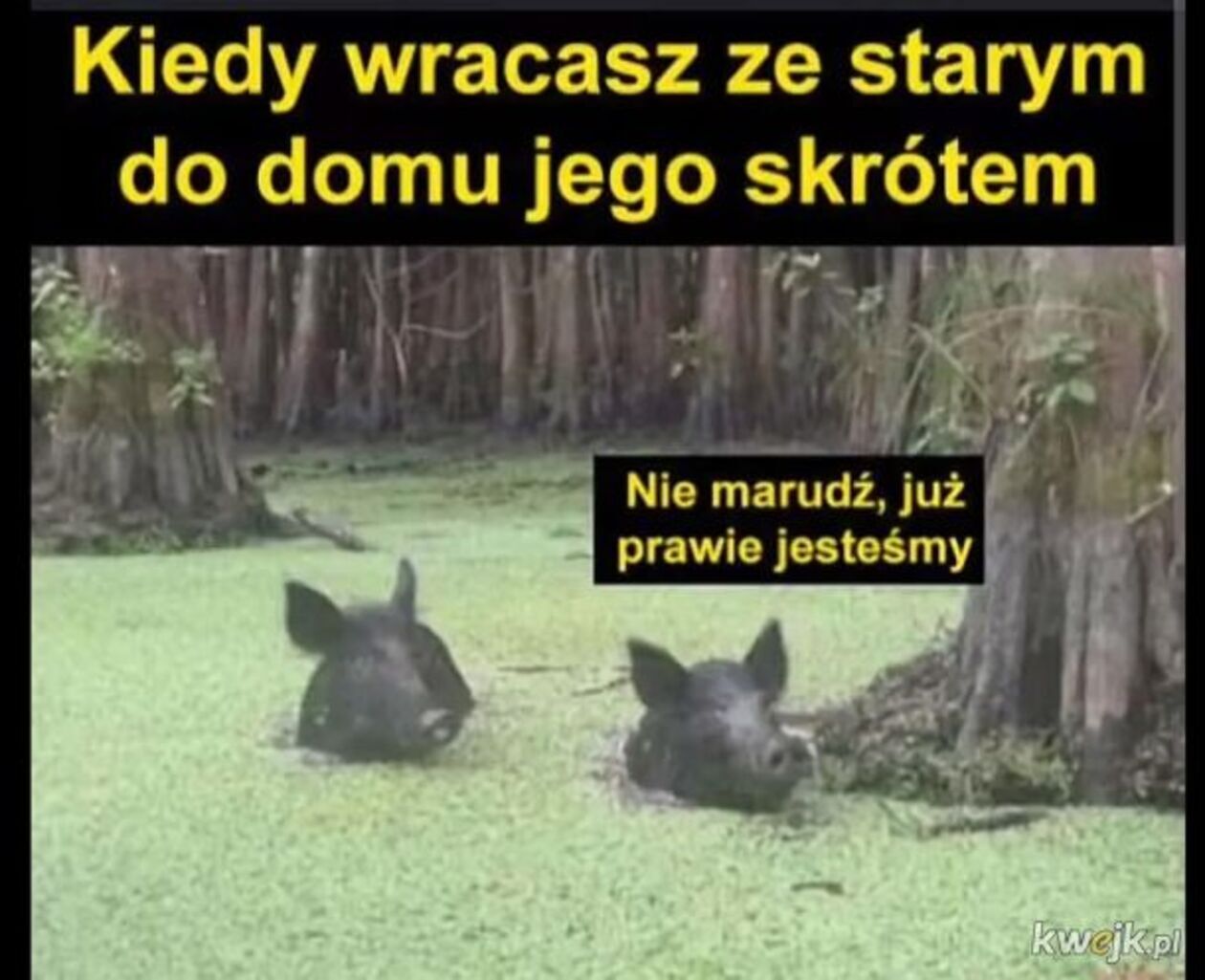  2e6d4a9d5c8e36ceef3cf6dae8f87327.jpg