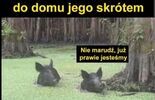 2e6d4a9d5c8e36ceef3cf6dae8f87327.jpg