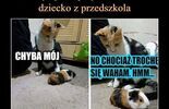 d41bd42d5a1e4cc3edb36e488b7573b1.jpg