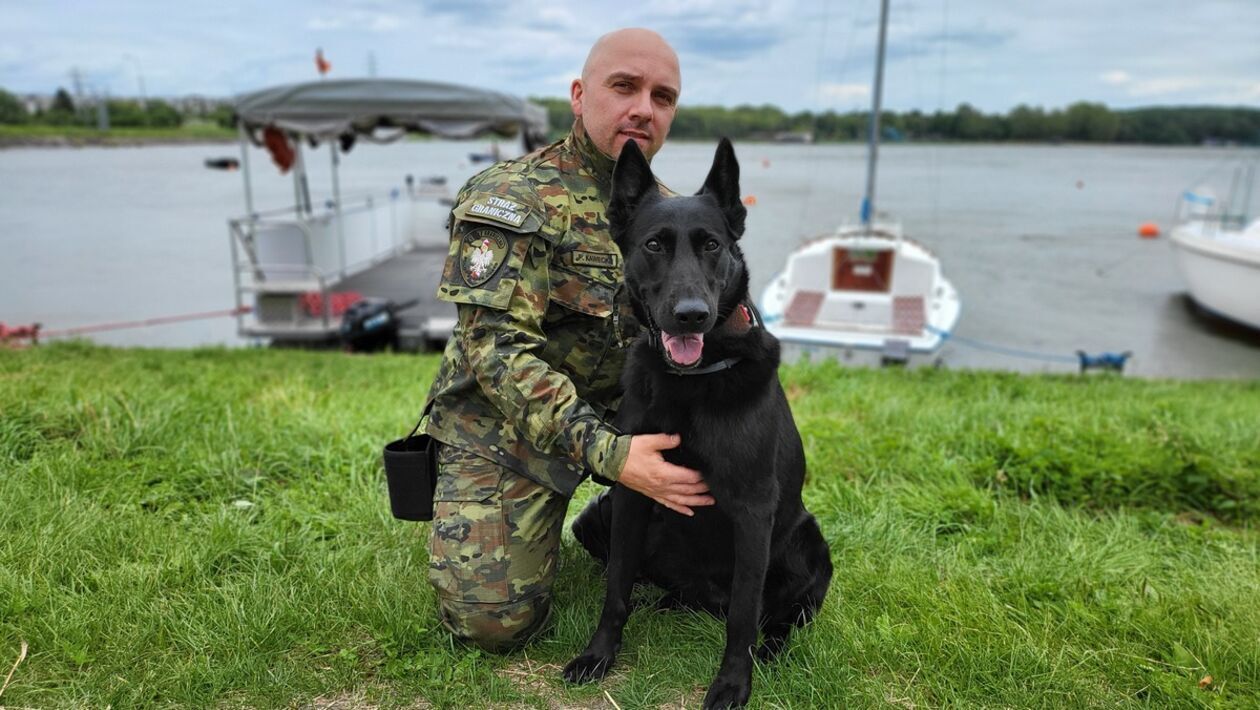  Psy policyjne  (zdjęcie 2) - Autor: Policja Lubelska 