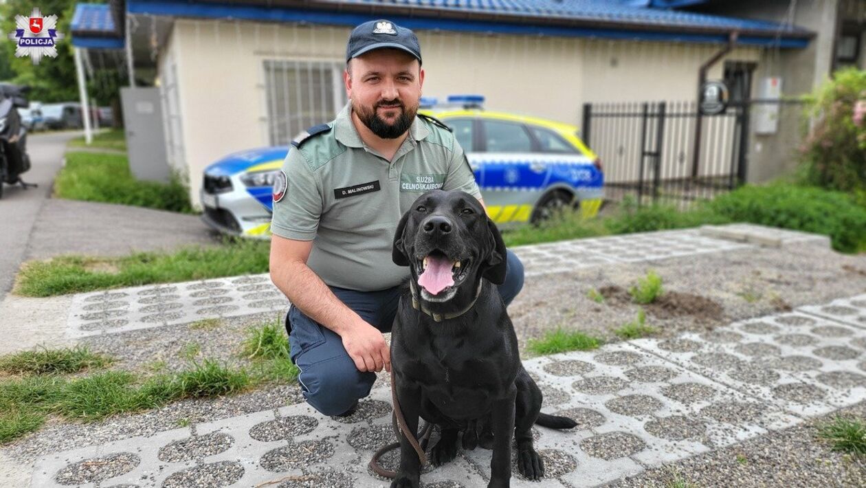  Psy policyjne  (zdjęcie 5) - Autor: Policja Lubelska 