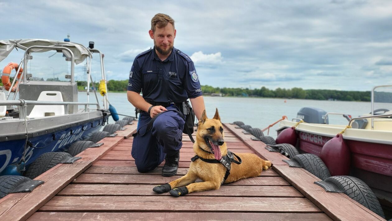  Psy policyjne  (zdjęcie 3) - Autor: Policja Lubelska 