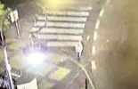 Lubelscy policjanci zatrzymali wandala (zdjęcie 2)