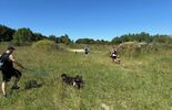 Skazani jako wolontariusze w schronisku (zdjęcie 4)