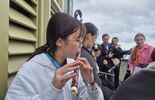 c2be3657f758b6f8d917e2c4034614c5.jpg