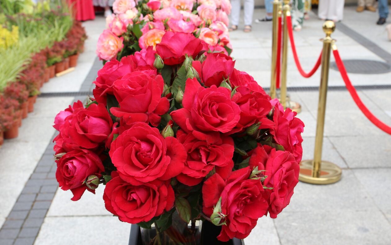  05a9f4c74dbee7f137a92cc6db8679bb.jpg