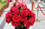 05a9f4c74dbee7f137a92cc6db8679bb.jpg