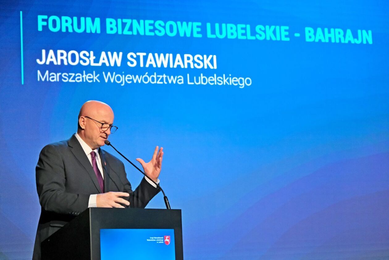  Forum Biznesowe lubelskie Bahrajn (zdjęcie 18) - Autor: DW