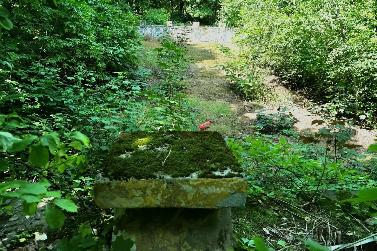  Basen przy ul. Odlewniczej na lubelskich Tatarach (zdjęcie 1) - Autor: DW