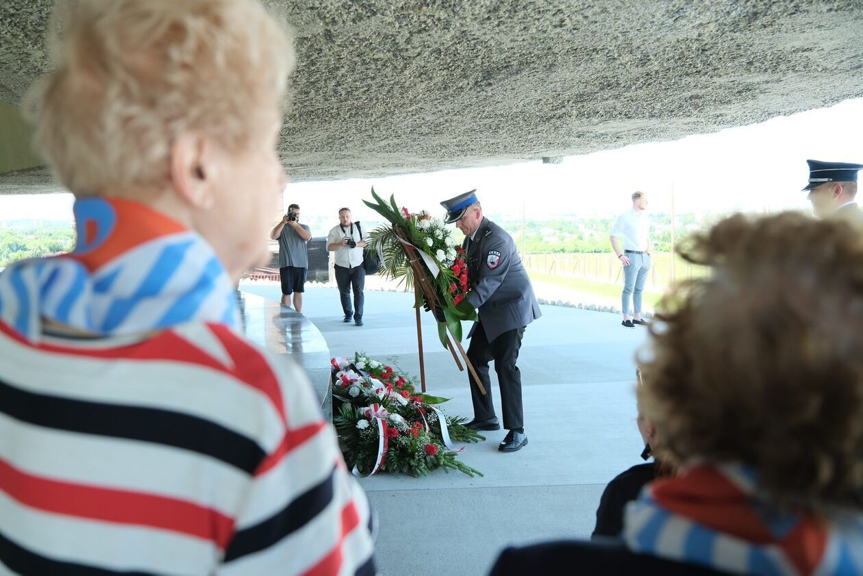  81. rocznica likwidacji KL Majdanek (zdjęcie 15) - Autor: DW