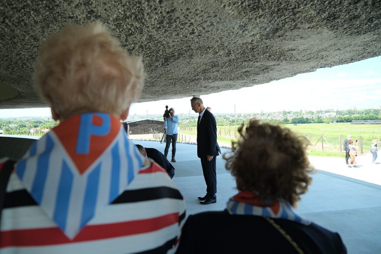  81. rocznica likwidacji KL Majdanek (zdjęcie 12) - Autor: DW