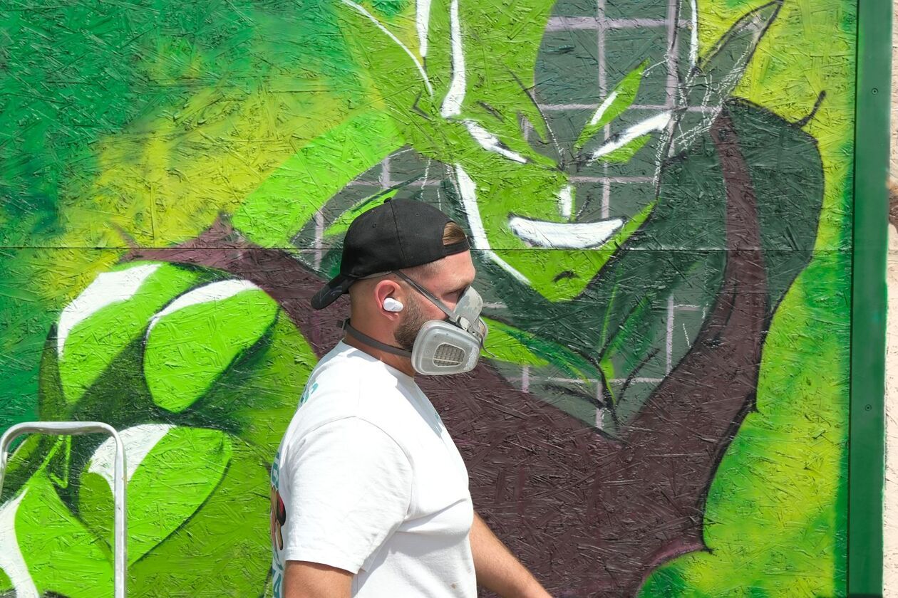  Festiwal urban art Meeting of Styles Polska Lublin (zdjęcie 10) - Autor: DW